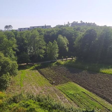 فيلا Casa Paradela Sanxenxo بونتيفيذرا المظهر الخارجي الصورة